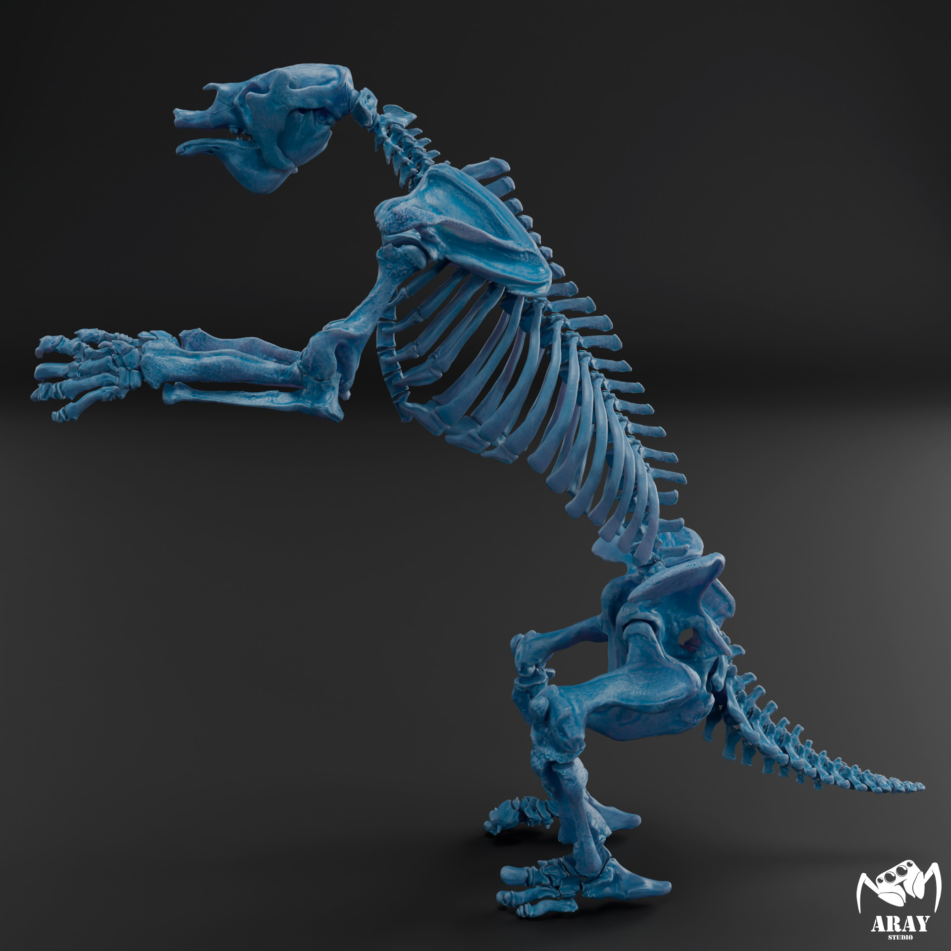 Megatherium americanum - giant ground sloth skeleton 3D print model_10