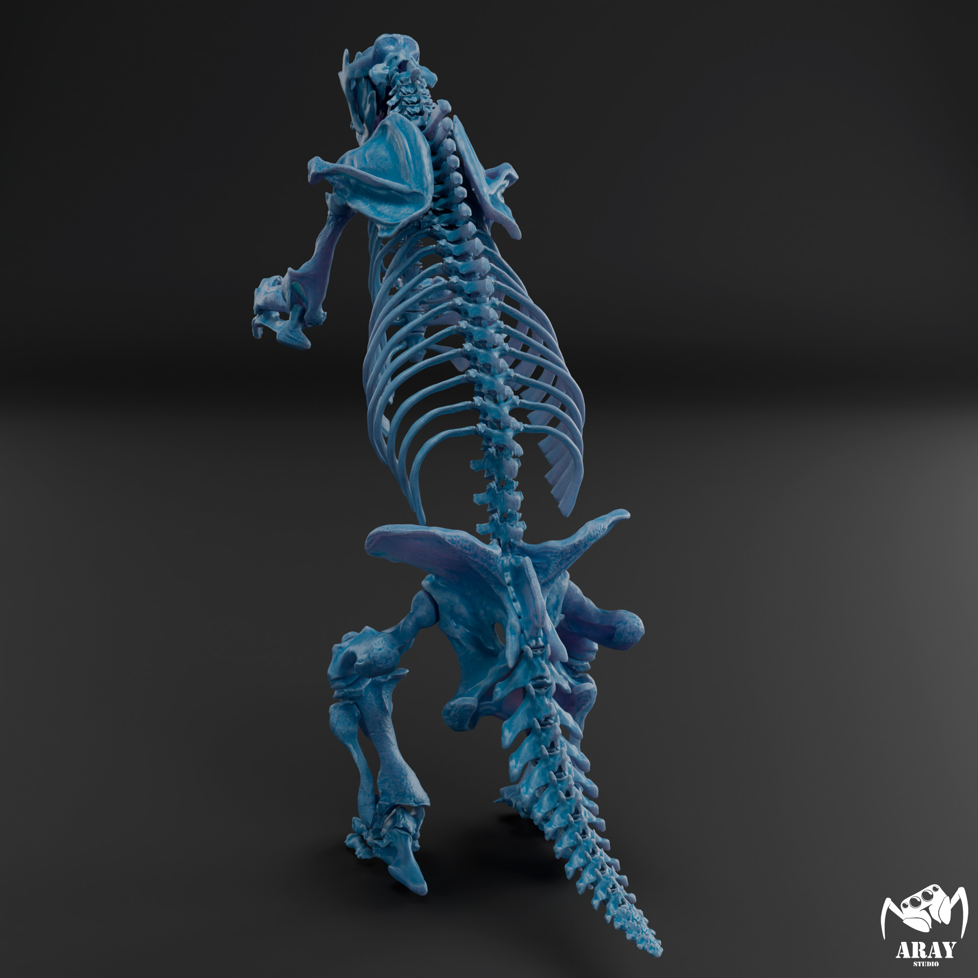 Megatherium americanum - giant ground sloth skeleton 3D print model_12