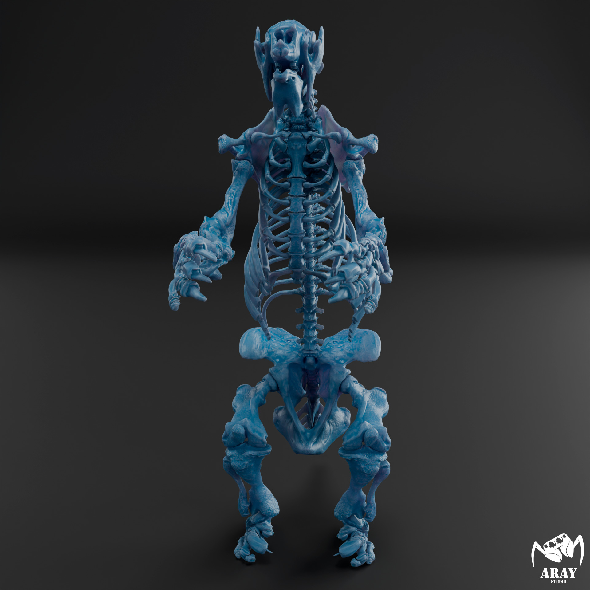 Megatherium americanum - giant ground sloth skeleton 3D print model_8