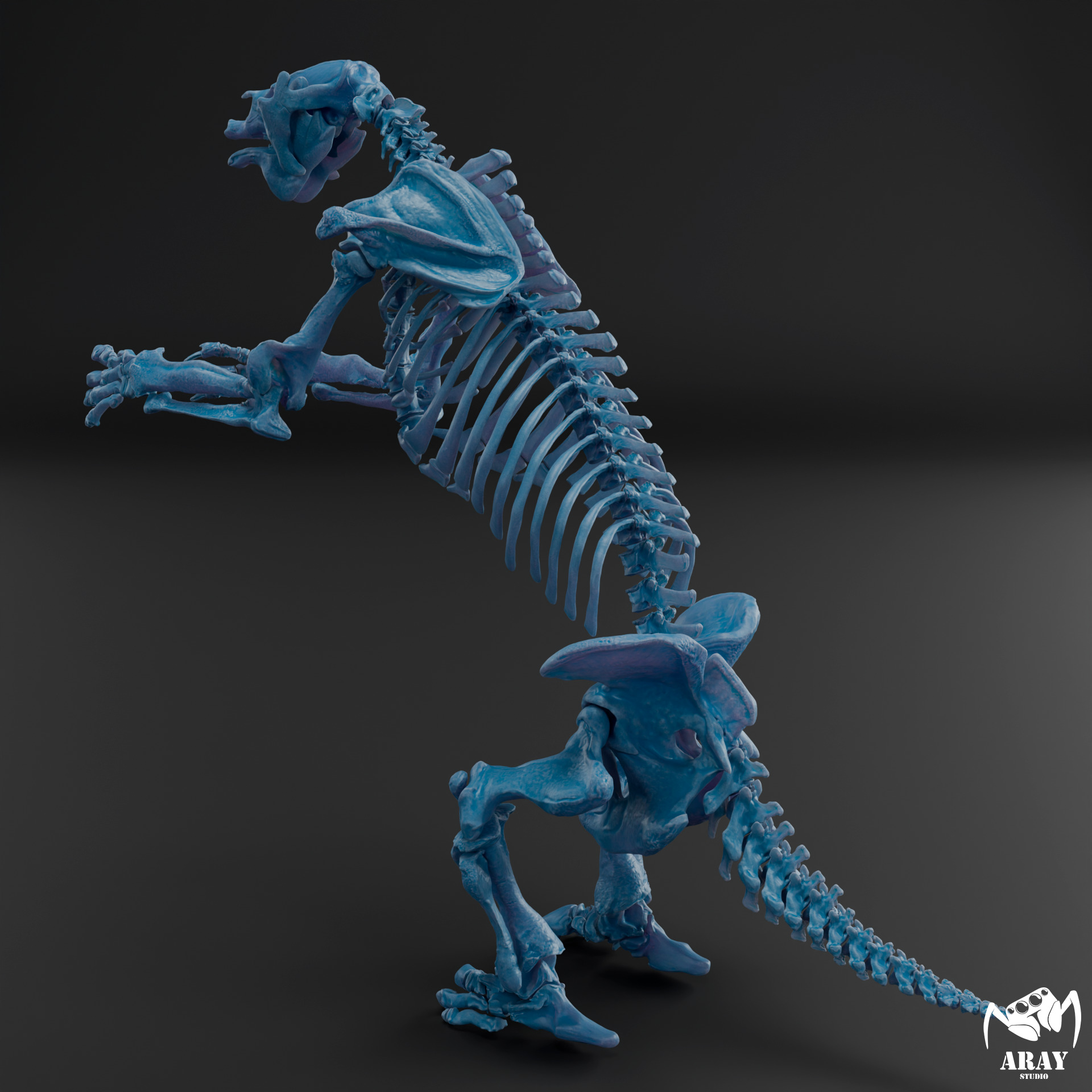 Megatherium americanum - giant ground sloth skeleton 3D print model_11