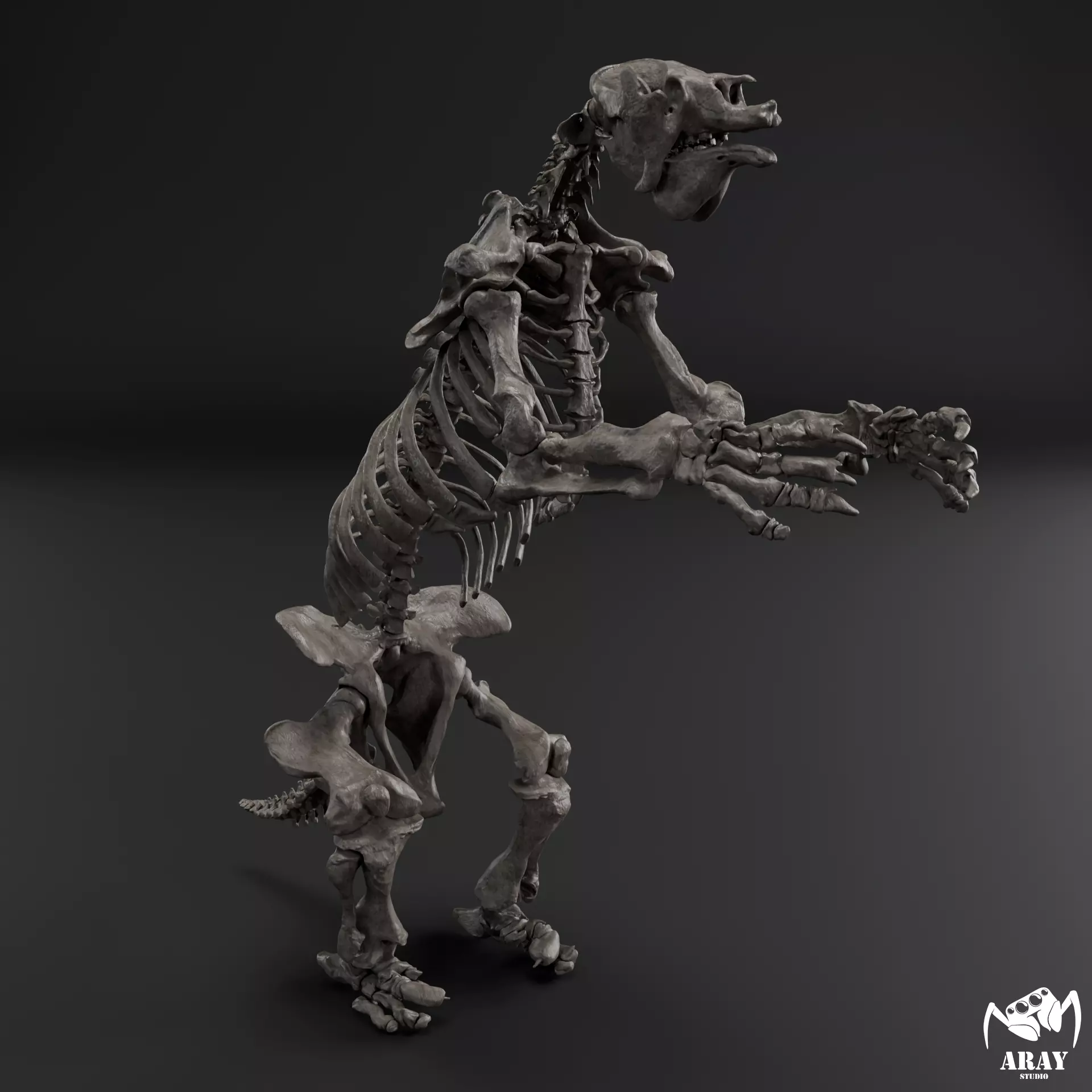 Megatherium americanum - giant ground sloth skeleton 3D print model_0
