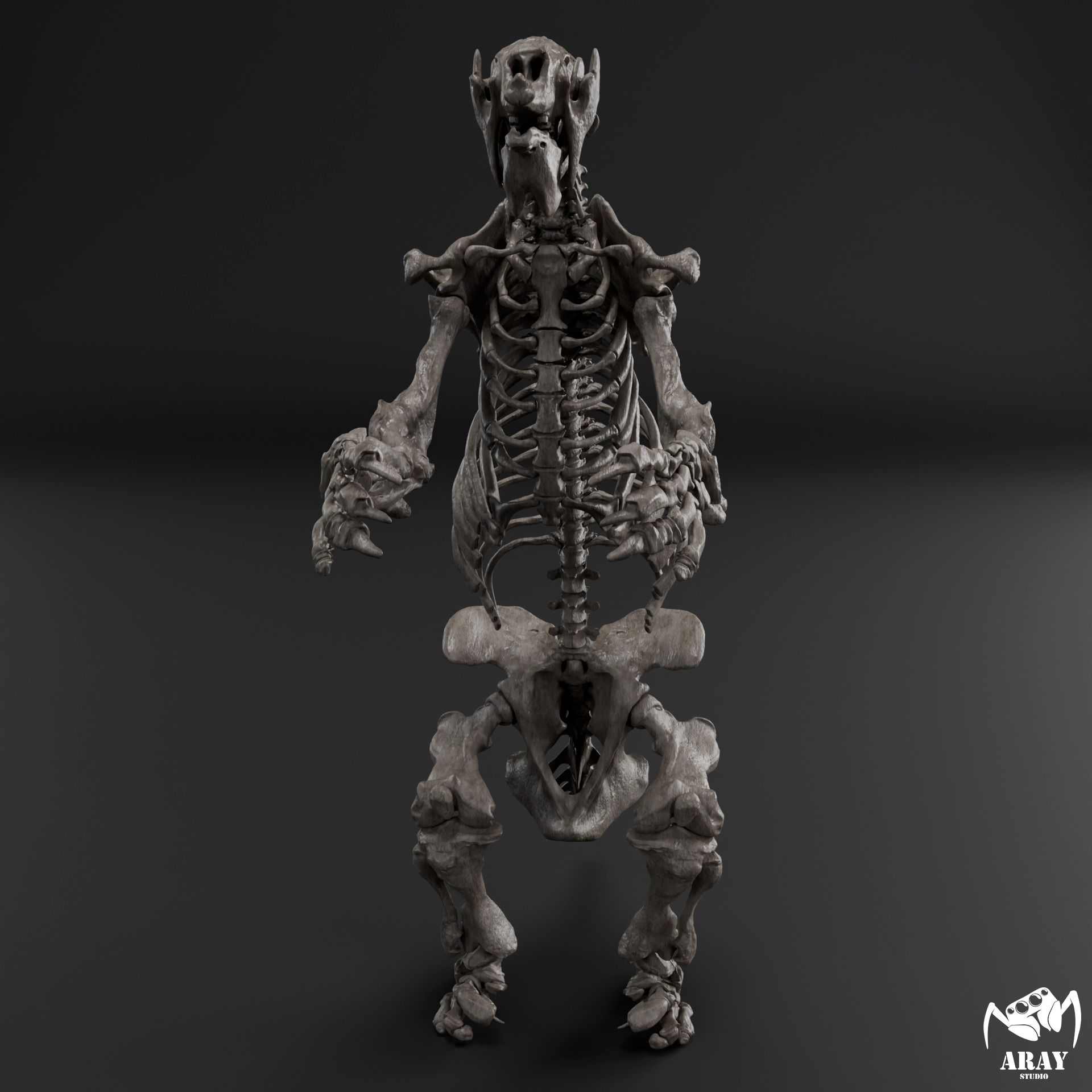 Megatherium americanum - giant ground sloth skeleton 3D print model_1