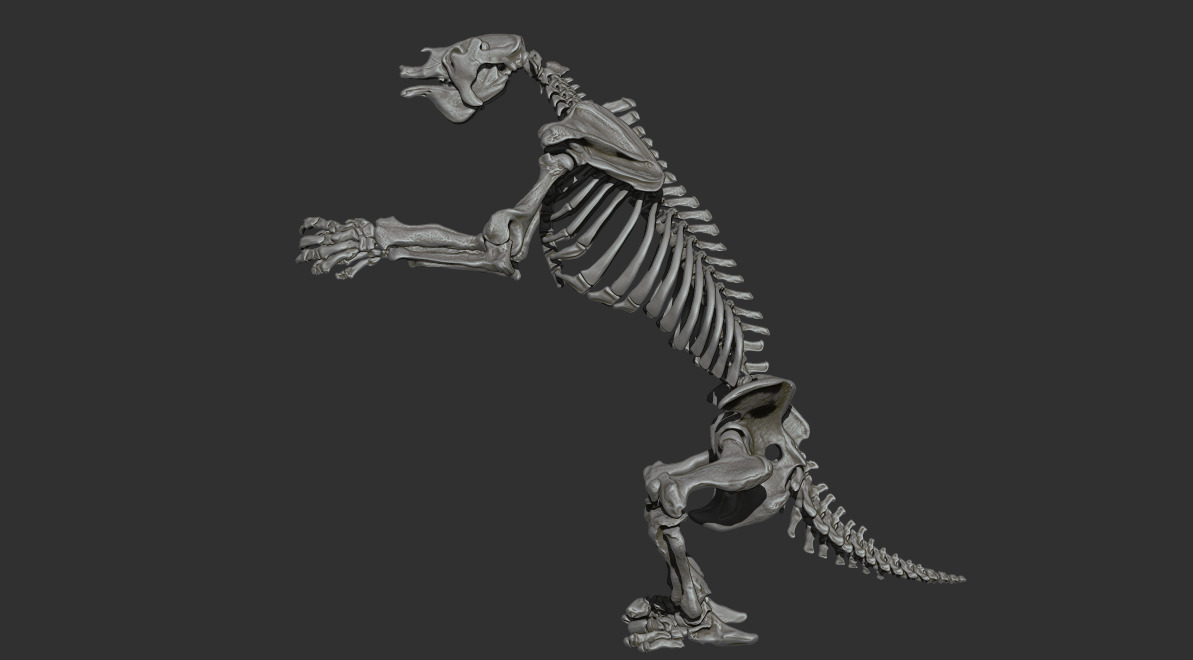 Megatherium americanum - giant ground sloth skeleton 3D print model_15