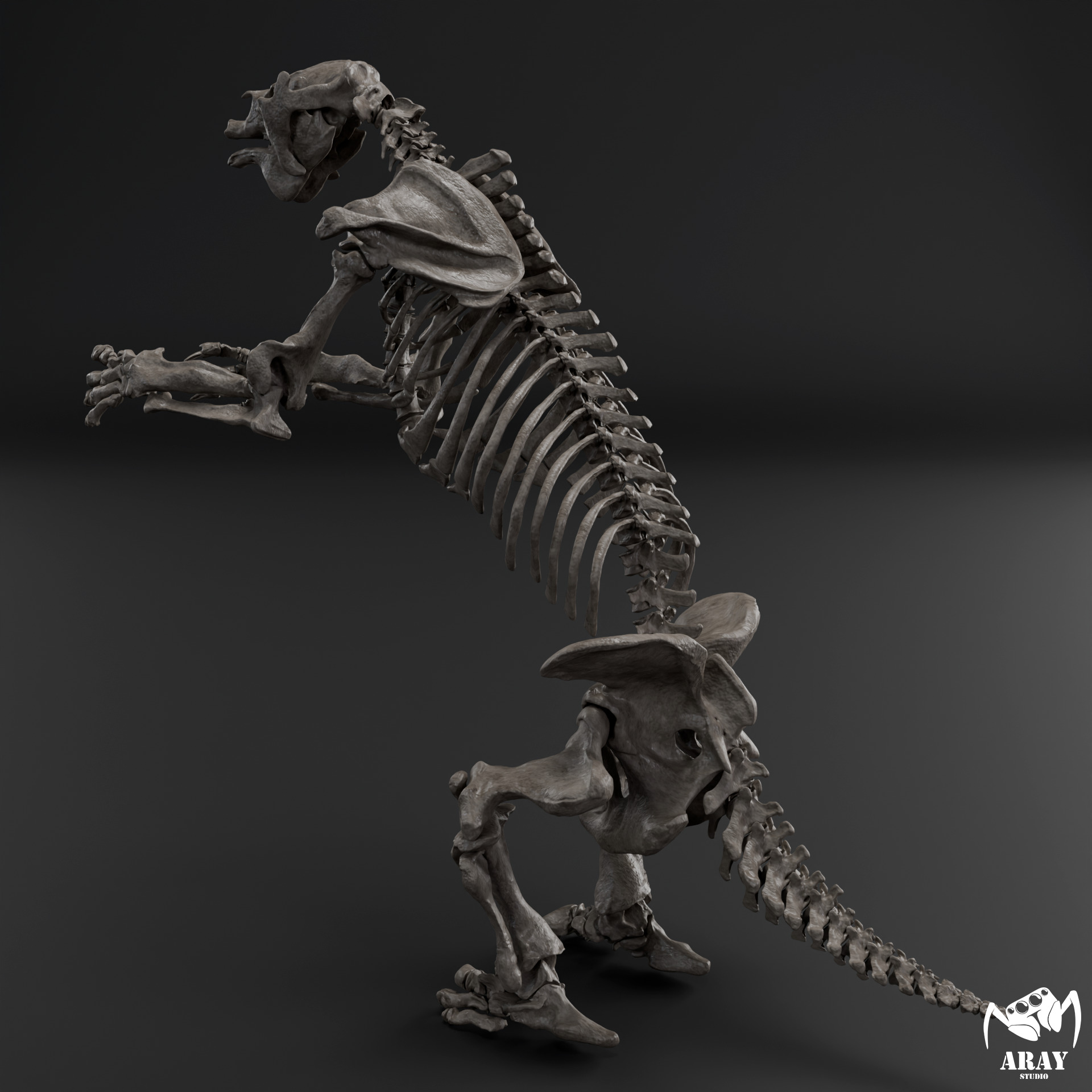 Megatherium americanum - giant ground sloth skeleton 3D print model_4