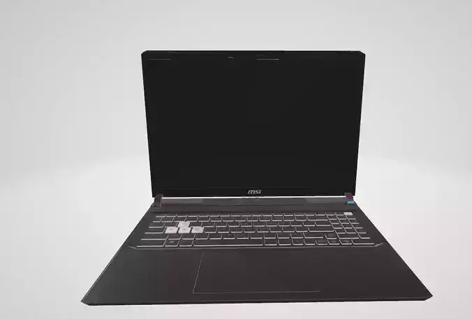 MSI   VECTOR     Notebook