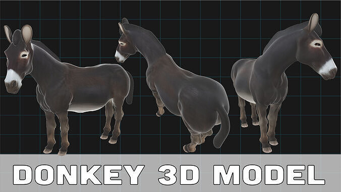 Realistic Donkey Stylized Animal 3D model