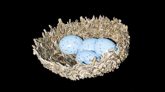 Realistic Blue jay nest and eggs Low-poly 3D model