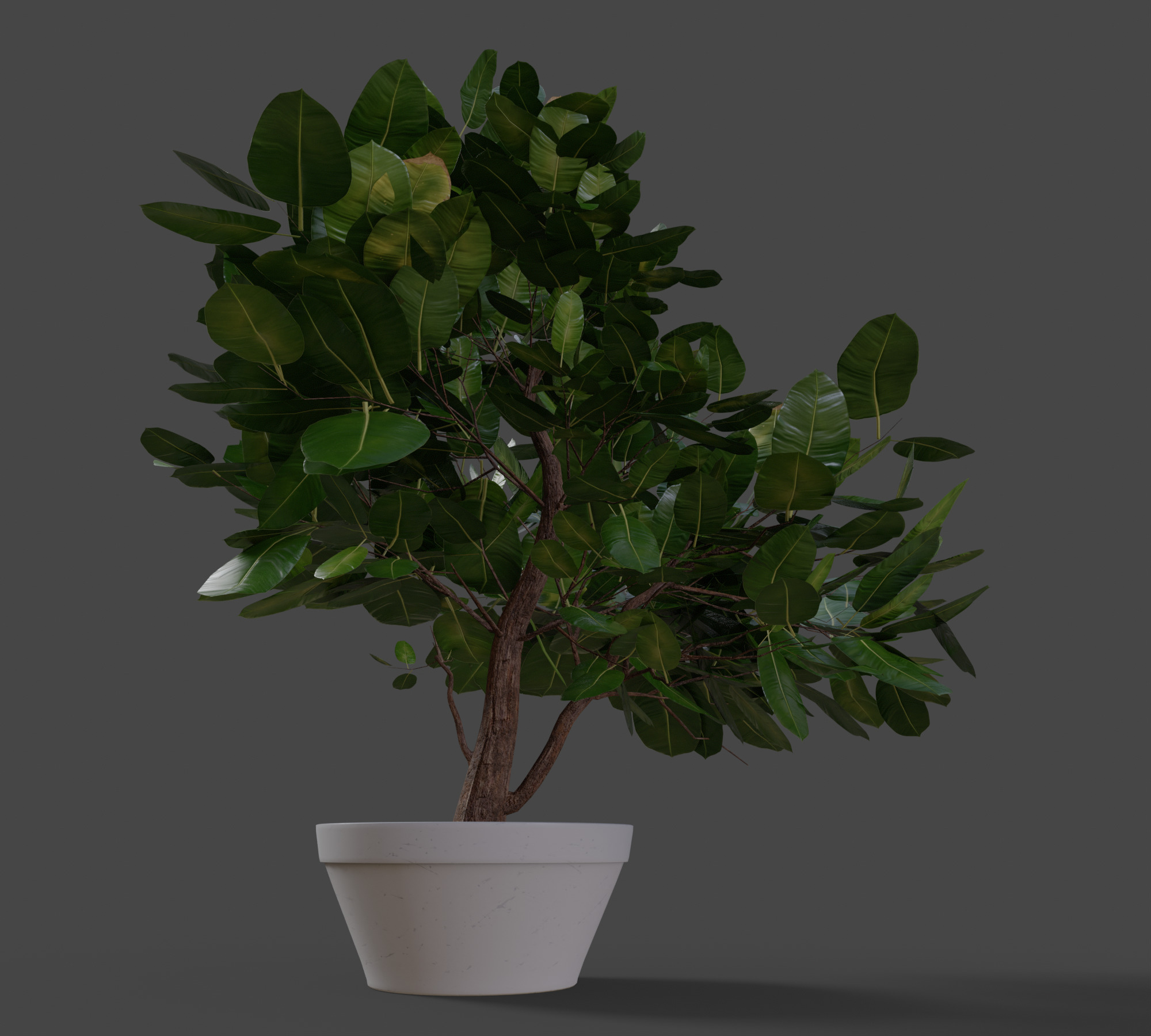 Small Plant Game Ready Low-poly 3D model Low-poly 3D model_7