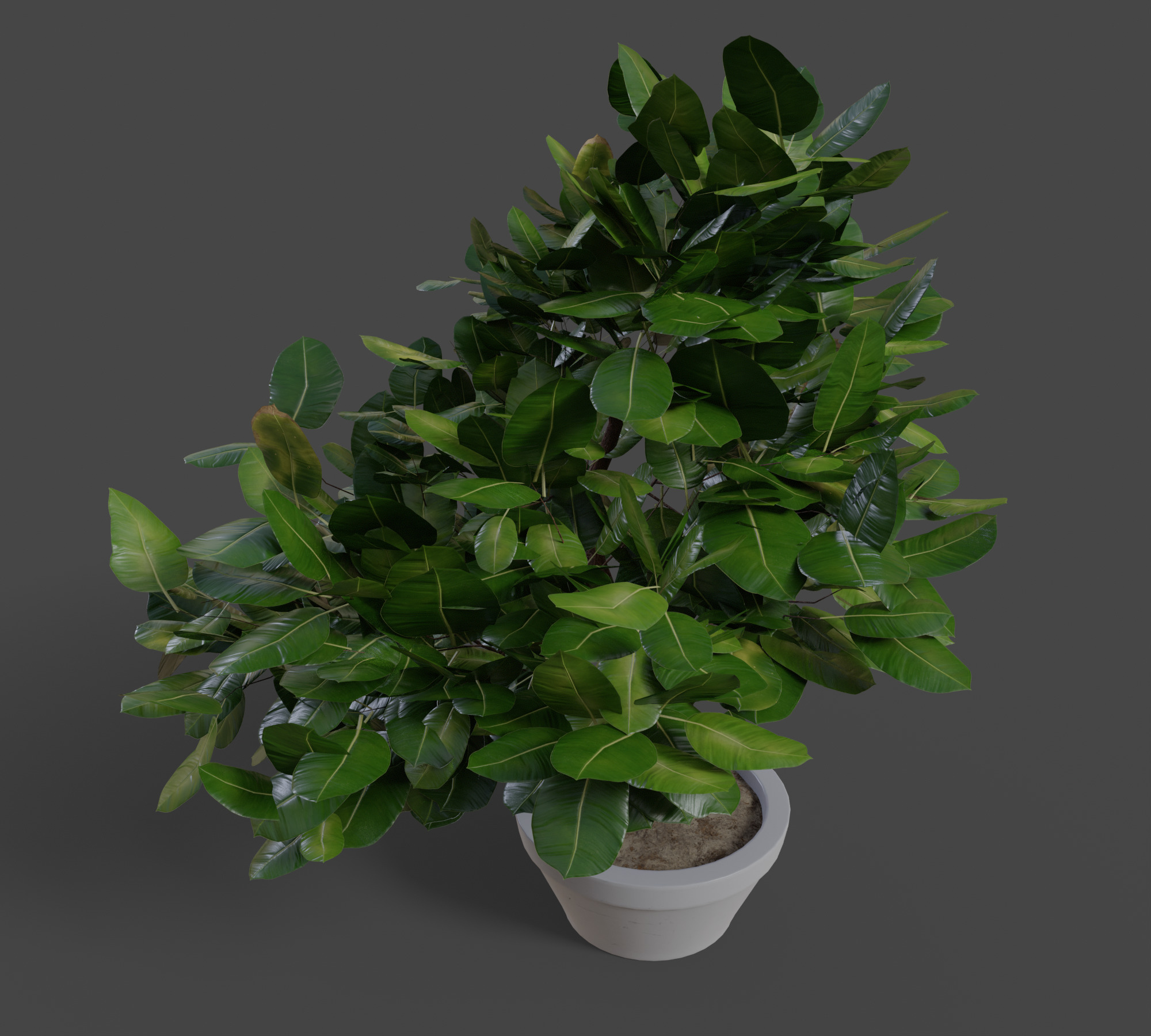 Small Plant Game Ready Low-poly 3D model Low-poly 3D model_2