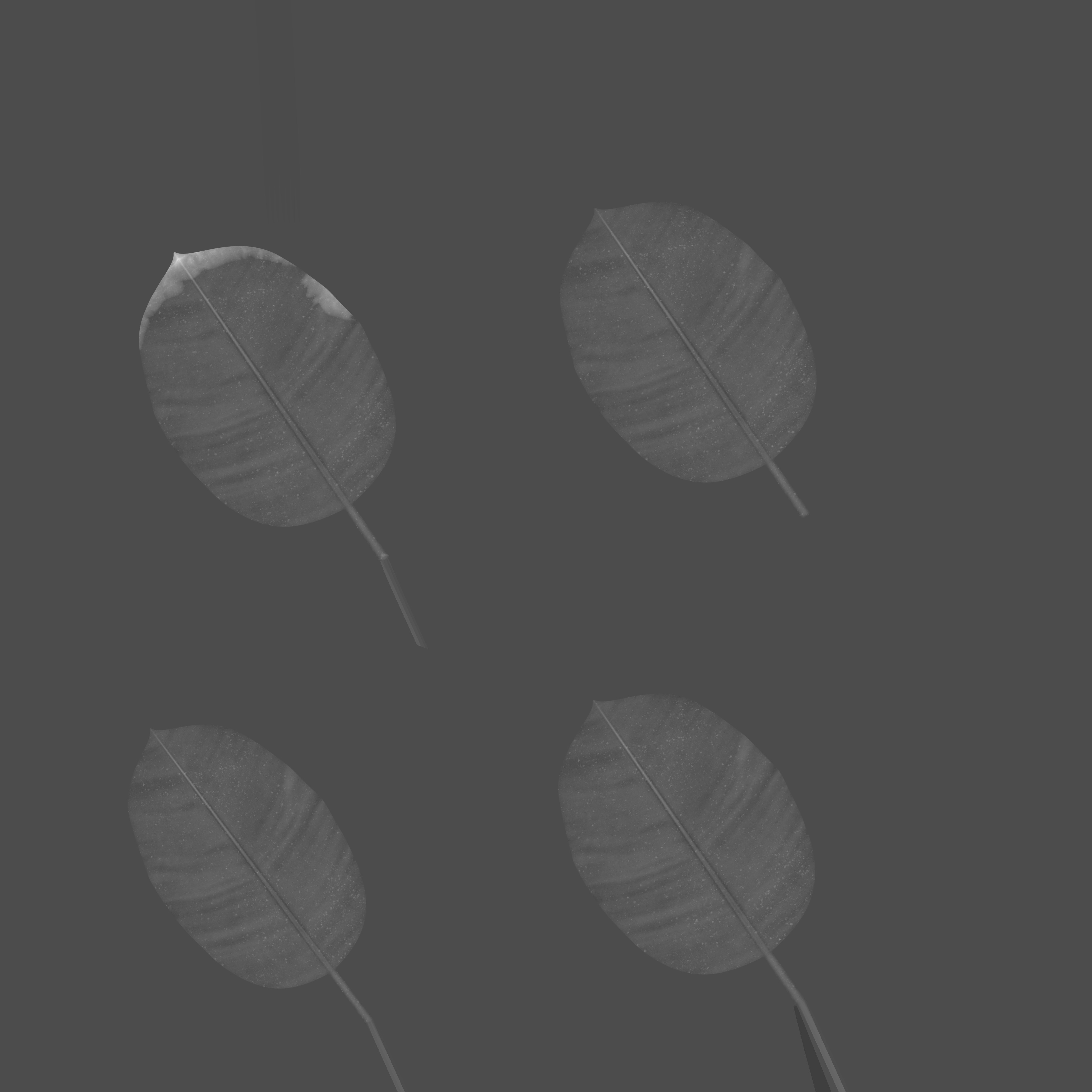 Small Plant Game Ready Low-poly 3D model Low-poly 3D model_16