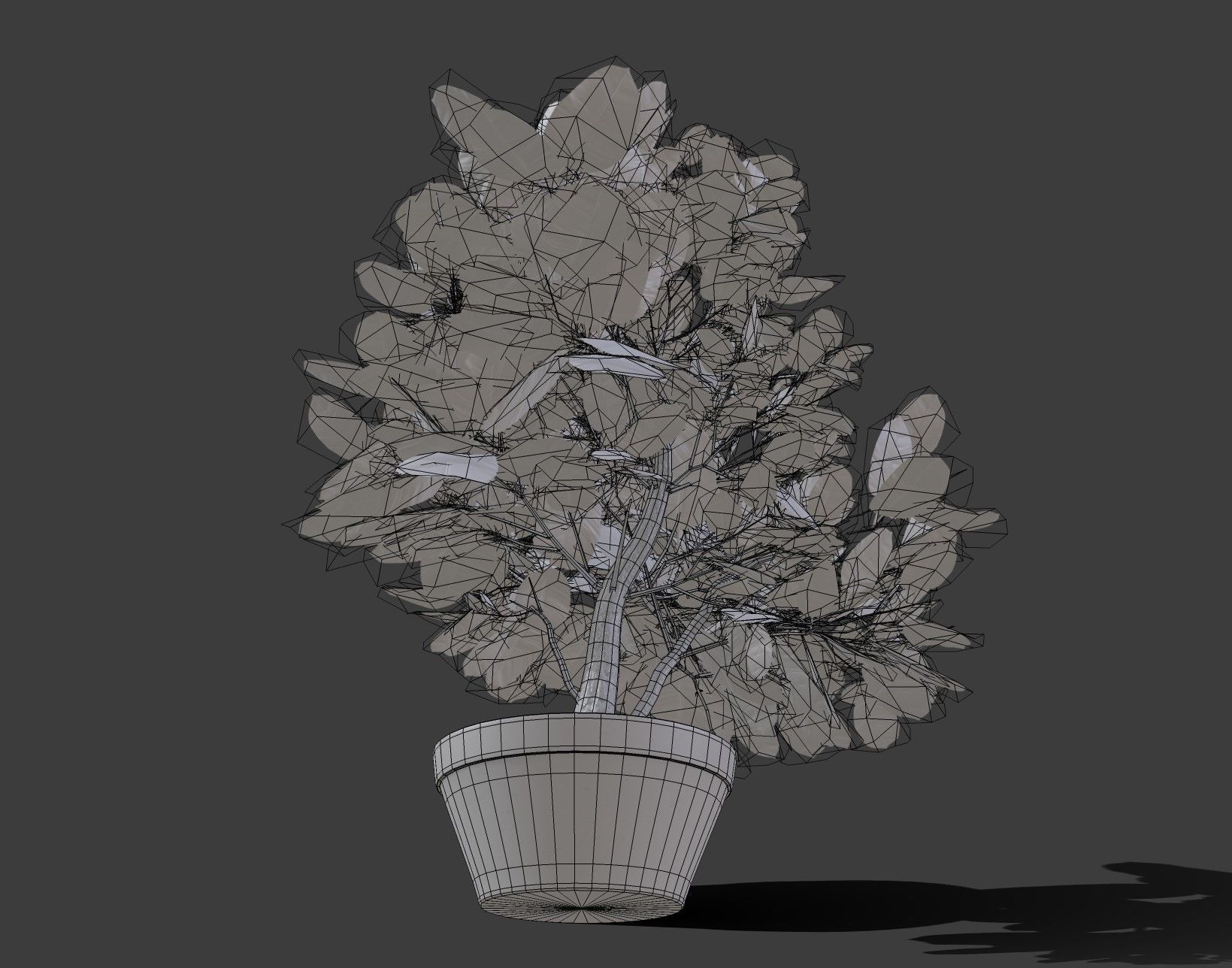 Small Plant Game Ready Low-poly 3D model Low-poly 3D model_9