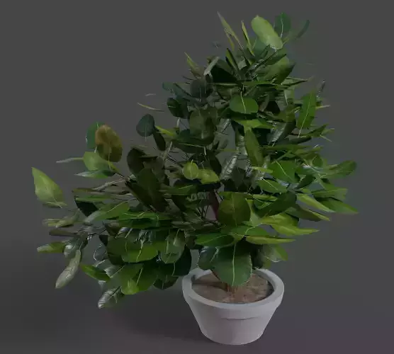 Small Plant Game Ready Low-poly 3D model