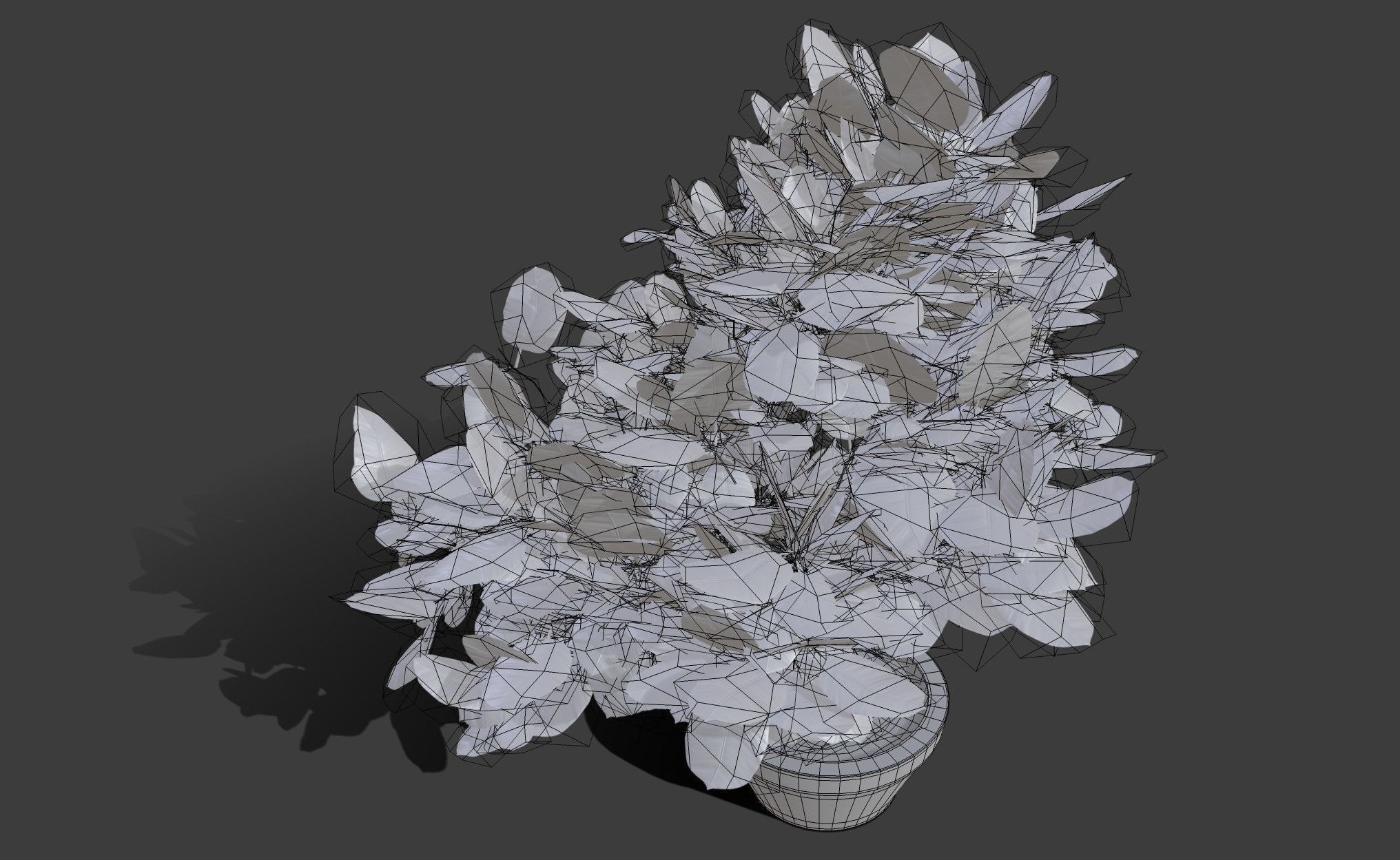 Small Plant Game Ready Low-poly 3D model Low-poly 3D model_10