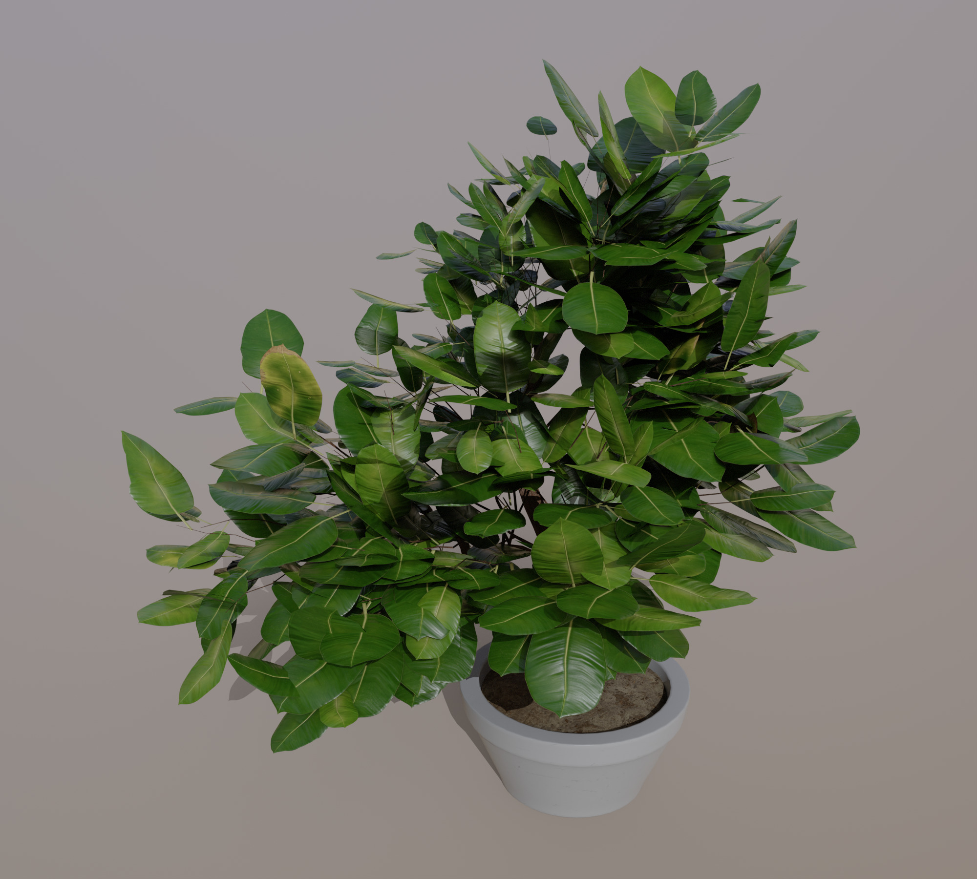 Small Plant Game Ready Low-poly 3D model Low-poly 3D model_4