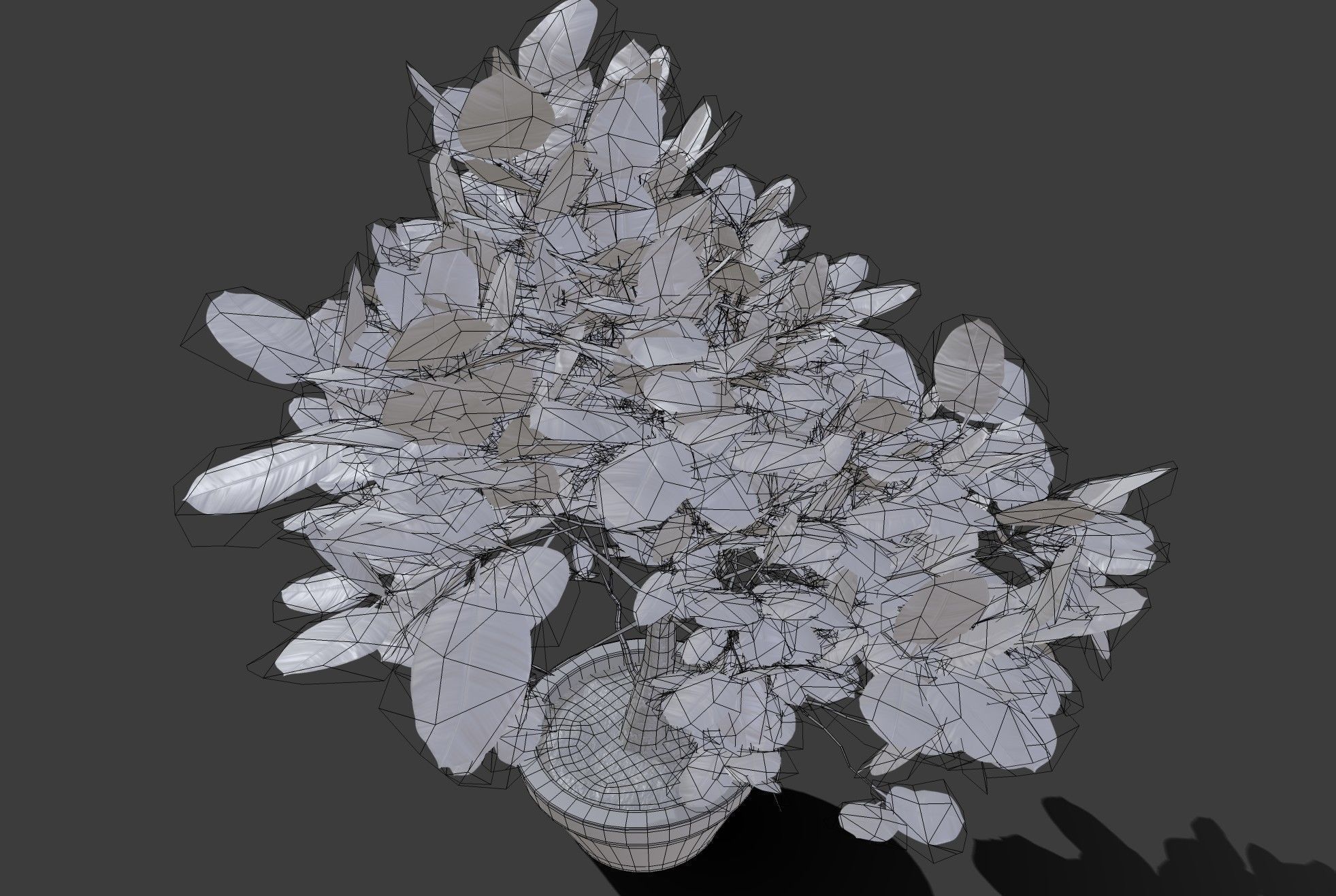 Small Plant Game Ready Low-poly 3D model Low-poly 3D model_3