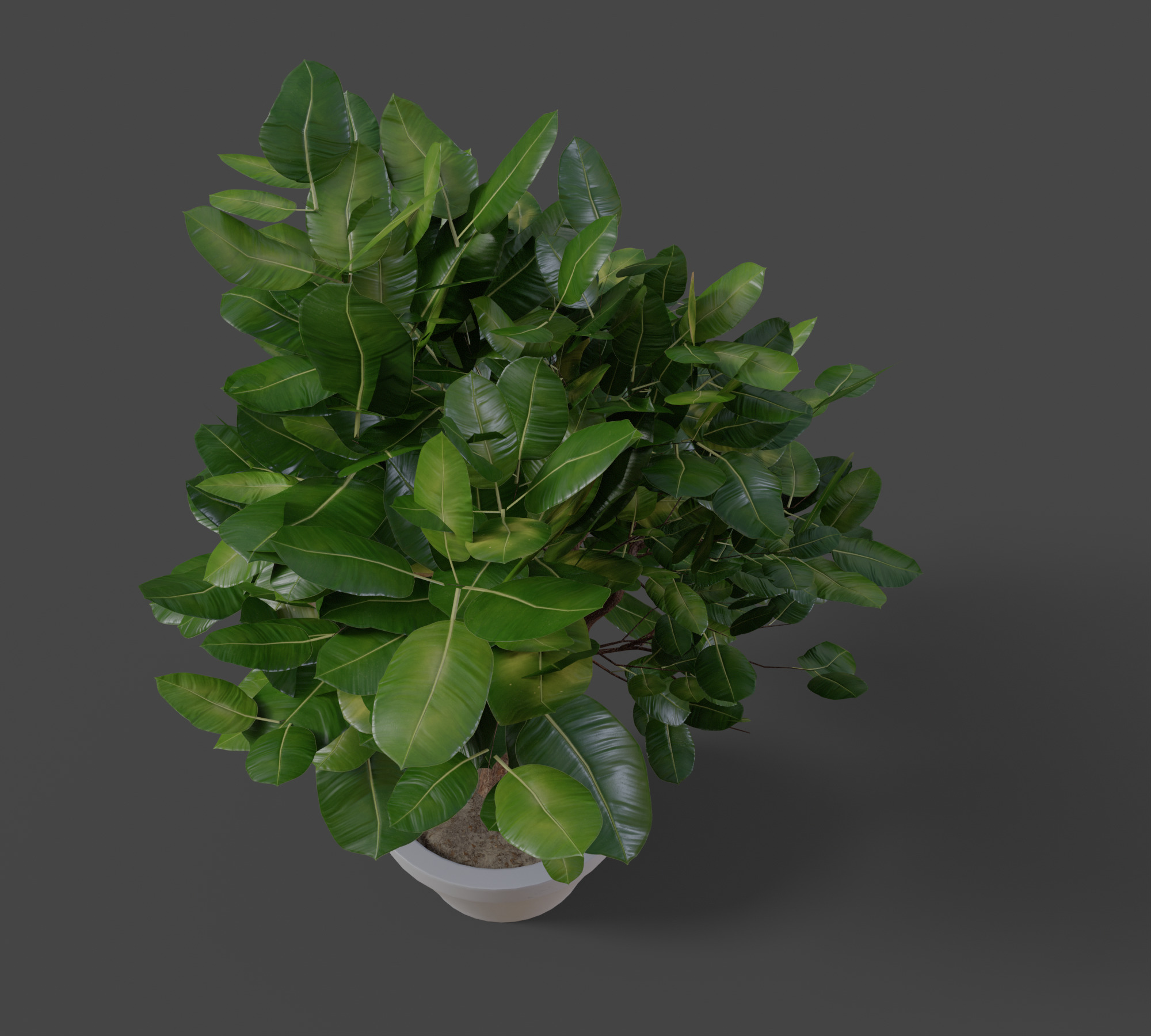 Small Plant Game Ready Low-poly 3D model Low-poly 3D model_5