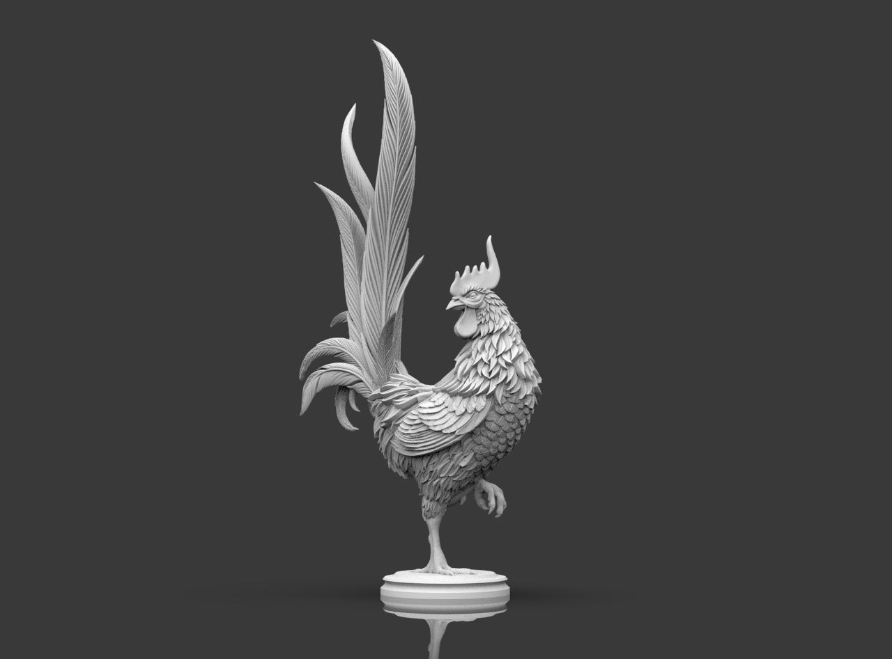 Rooster 3D print model_4
