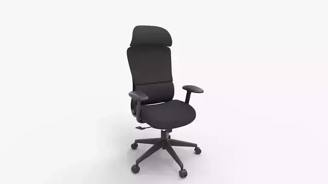 Align High Back Ergonomic Office Chair with Lumbar Support