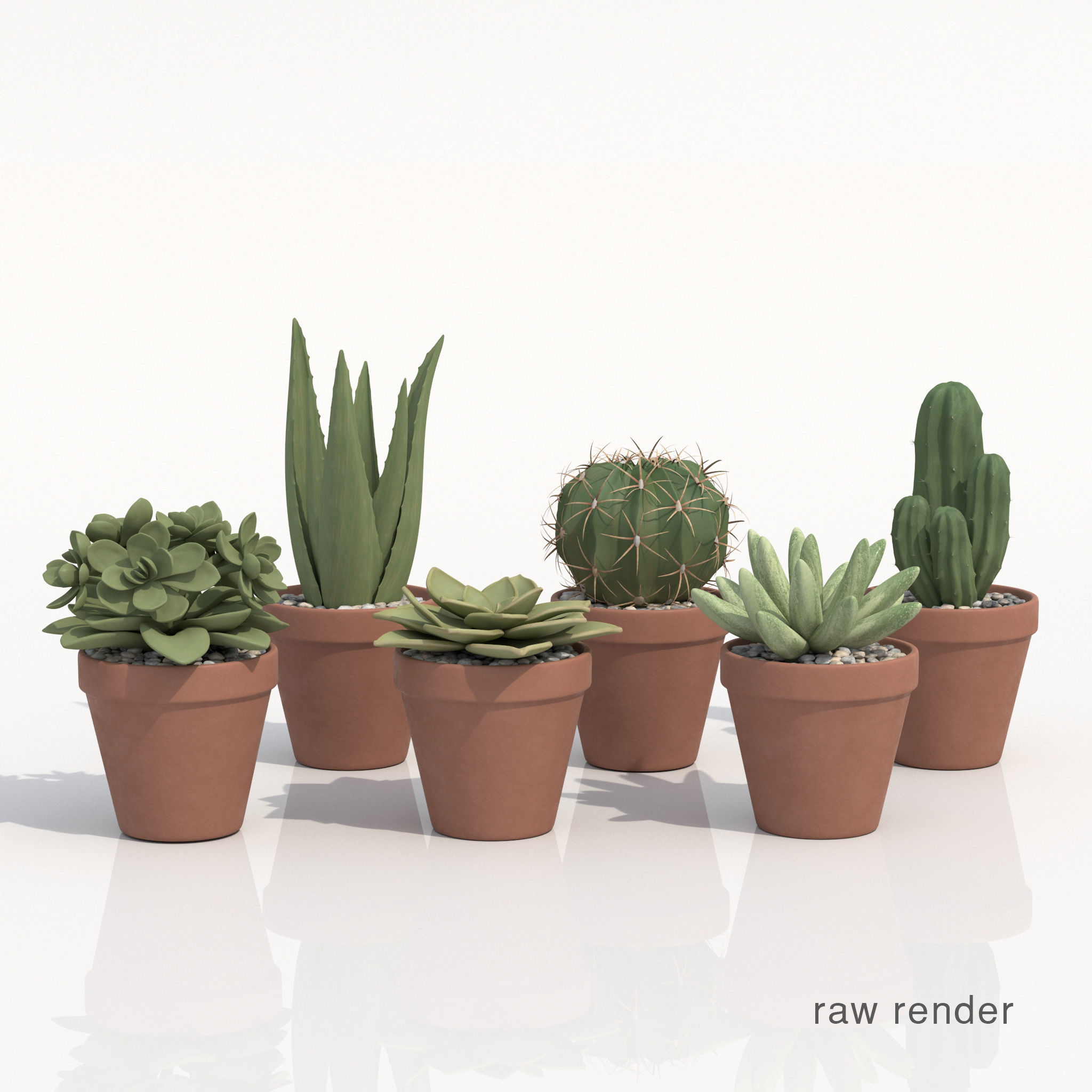Collection Of Potted Cactus Plants 3D model_4