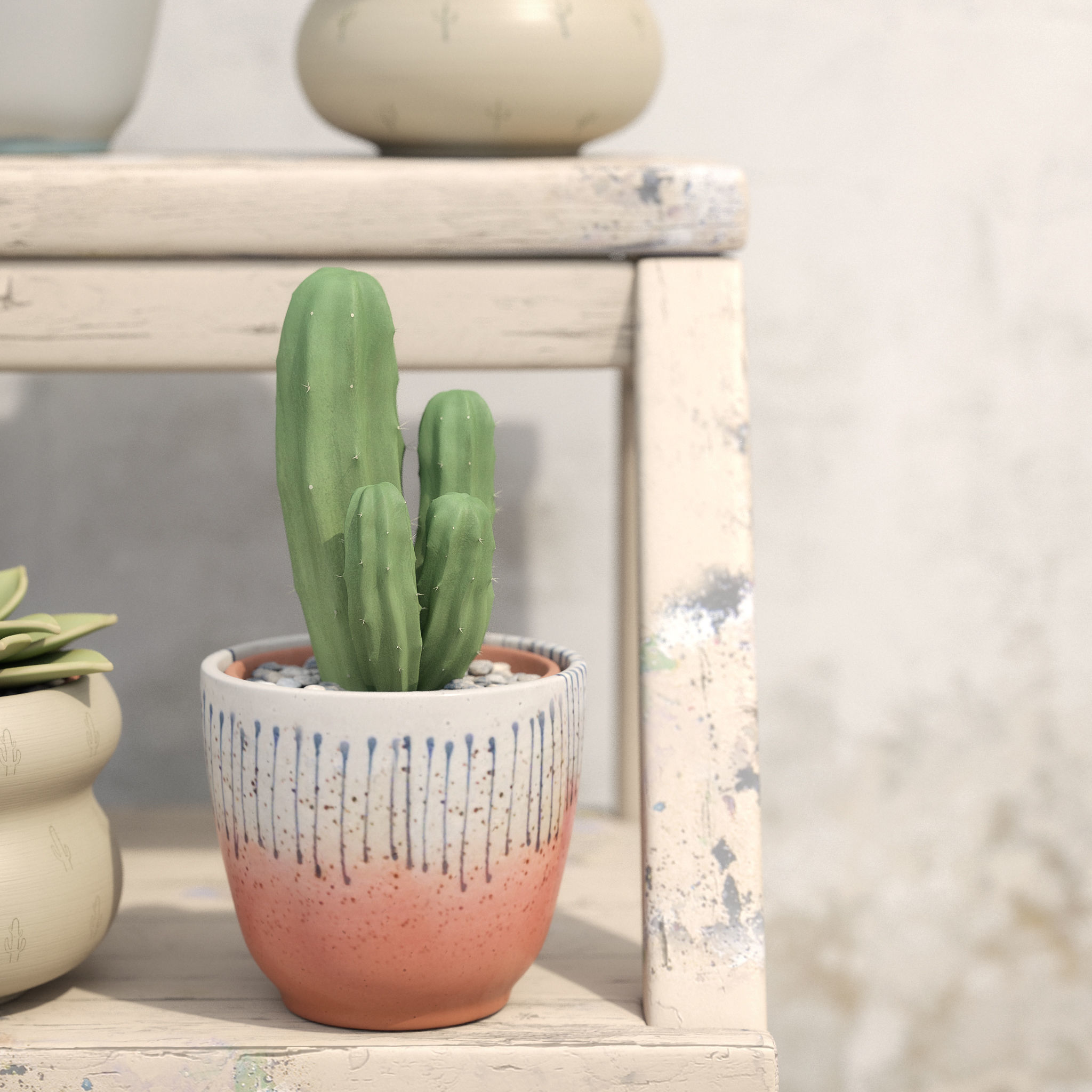 Collection Of Potted Cactus Plants 3D model_14