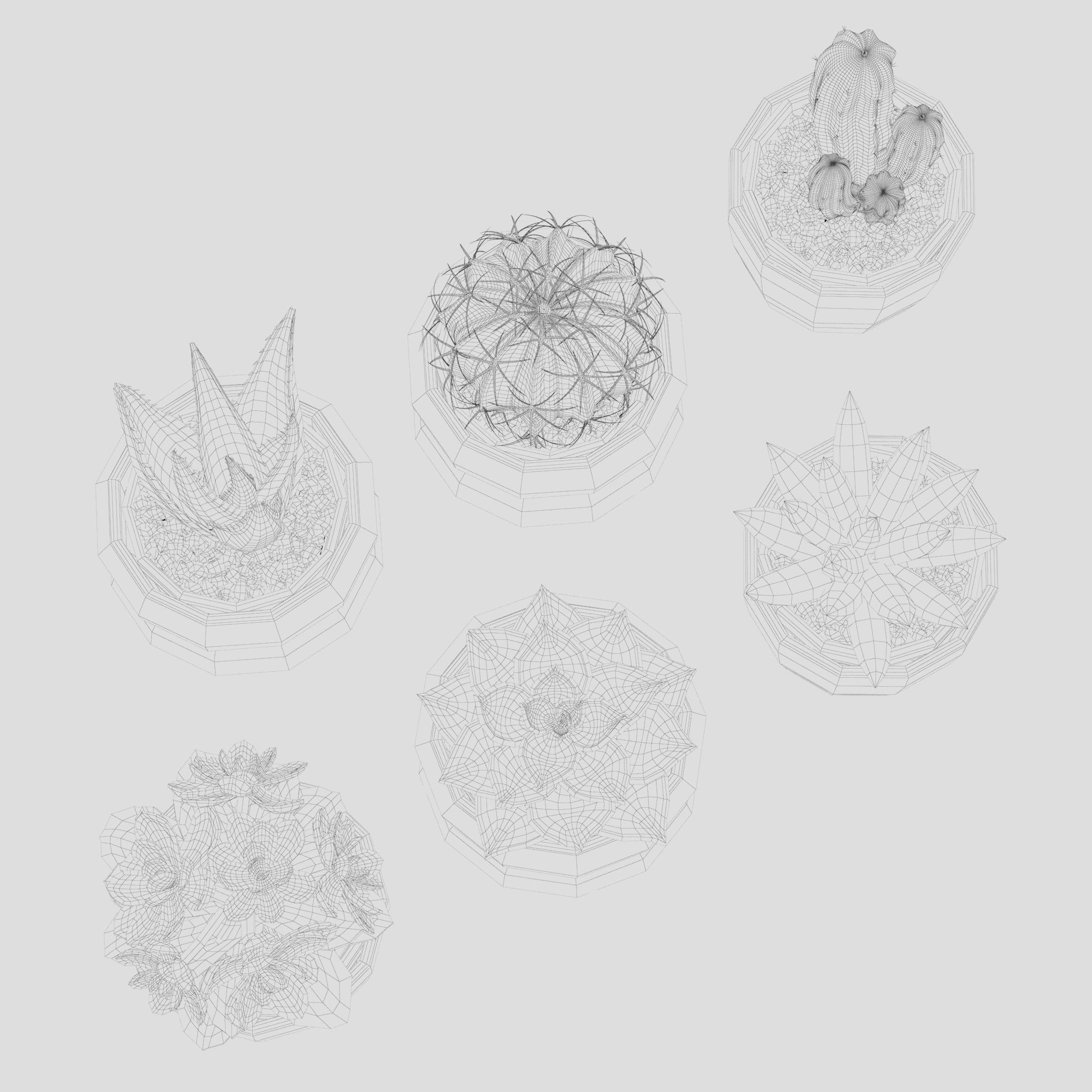 Collection Of Potted Cactus Plants 3D model_6