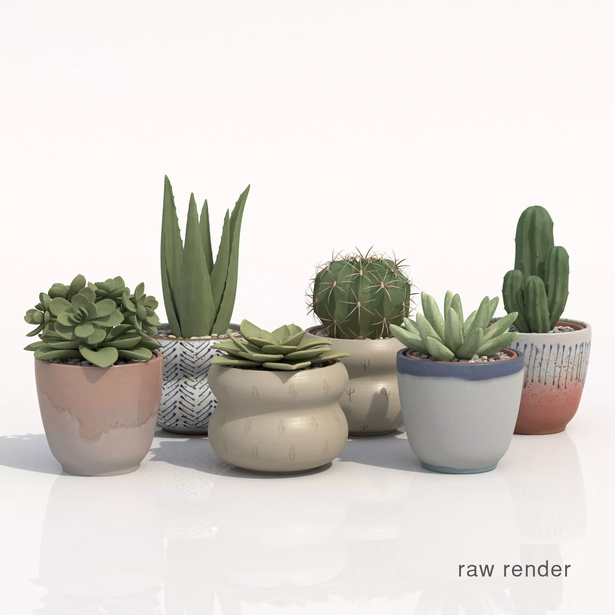 Collection Of Potted Cactus Plants 3D model_0