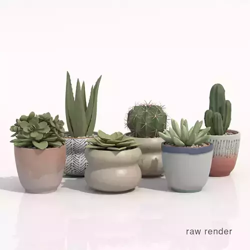 Collection Of Potted Cactus Plants 3D model