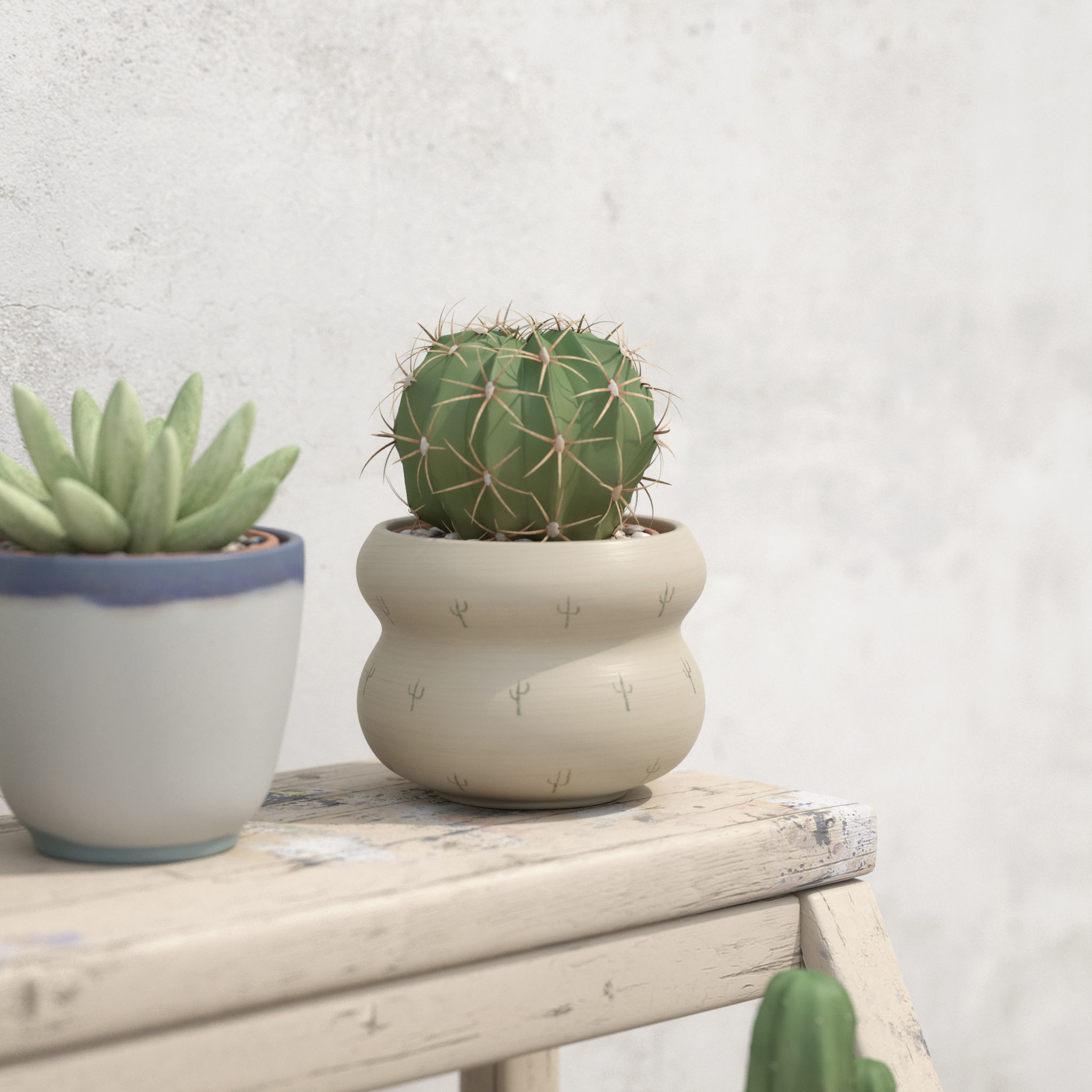 Collection Of Potted Cactus Plants 3D model_15