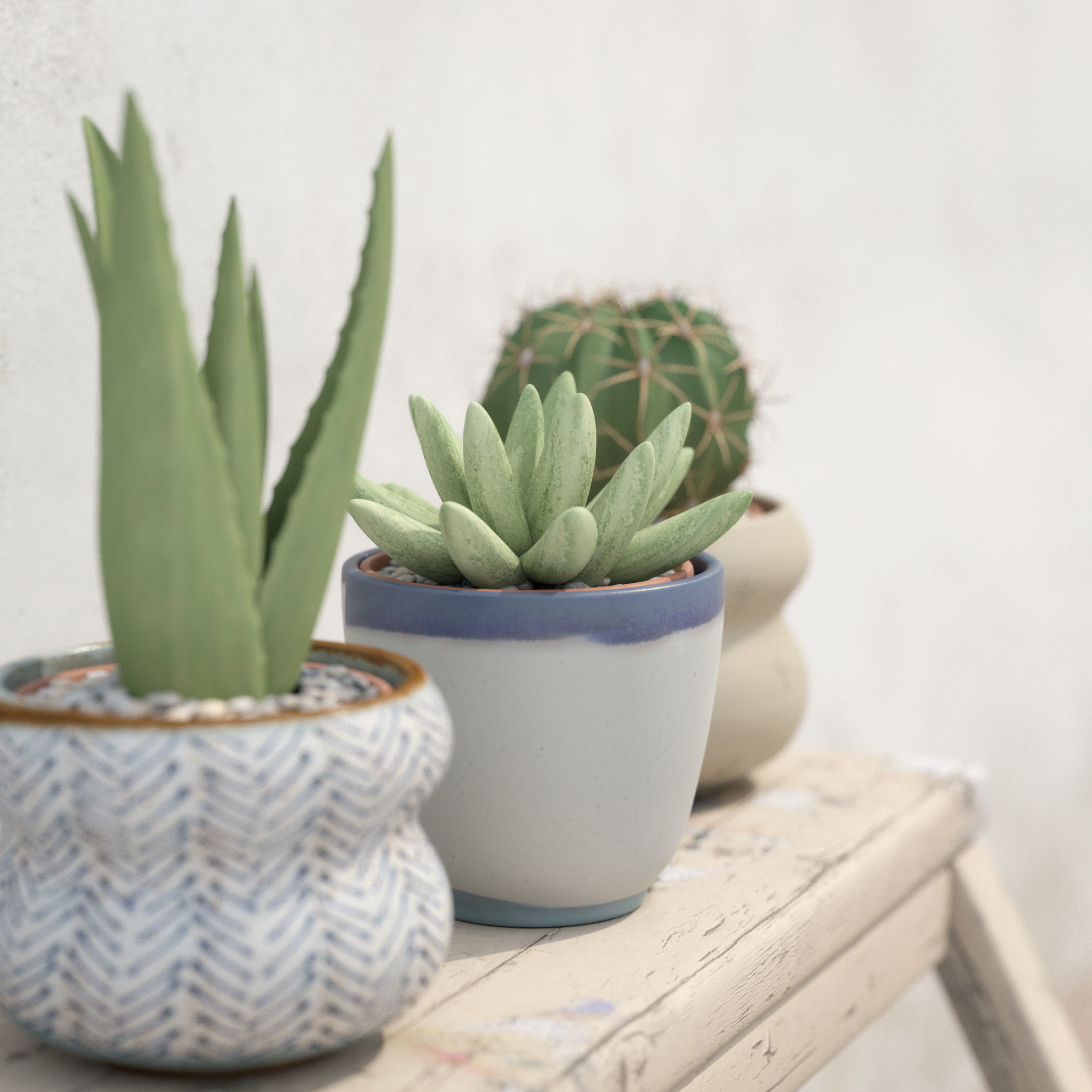 Collection Of Potted Cactus Plants 3D model_13