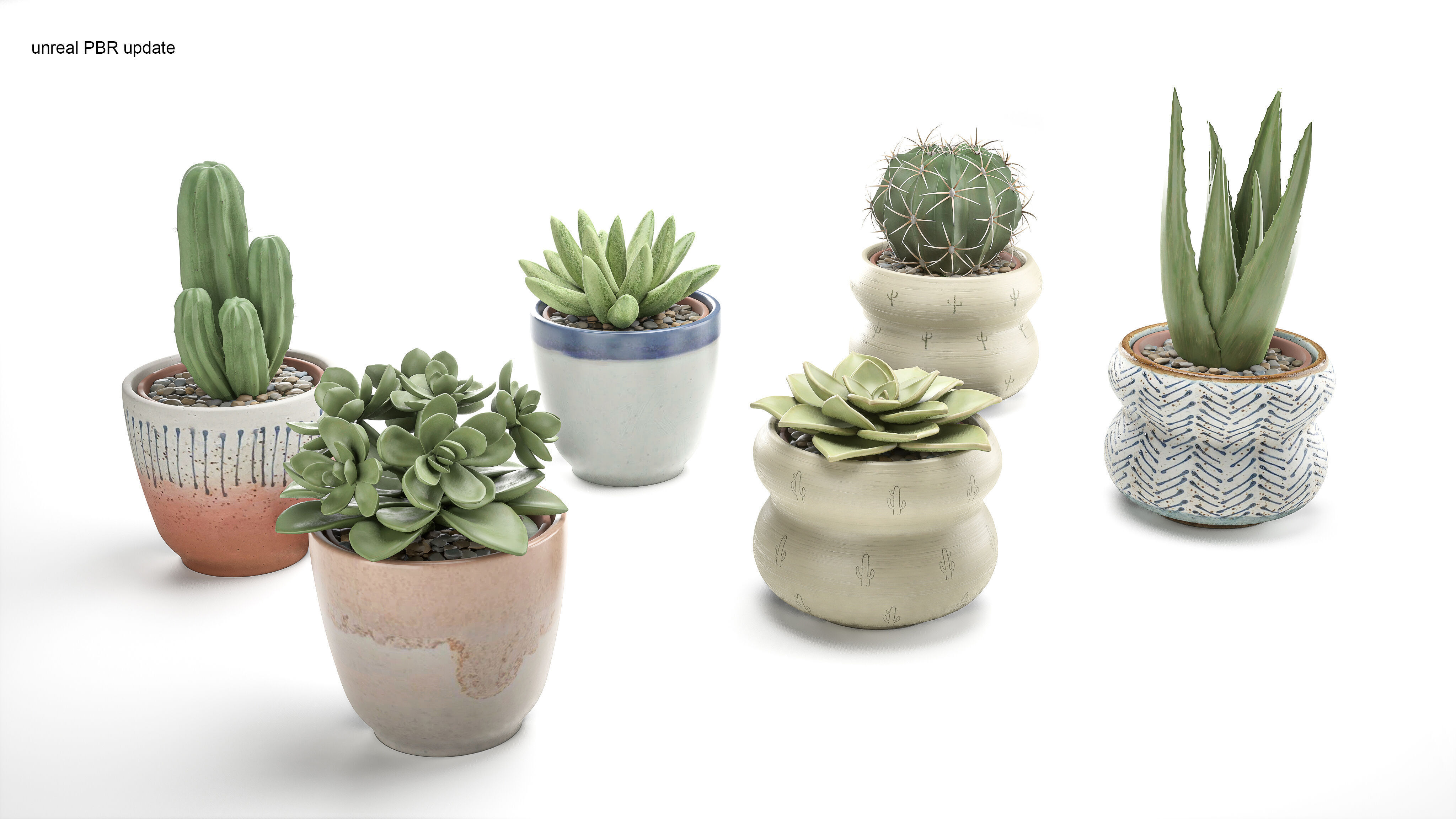 Collection Of Potted Cactus Plants 3D model_3