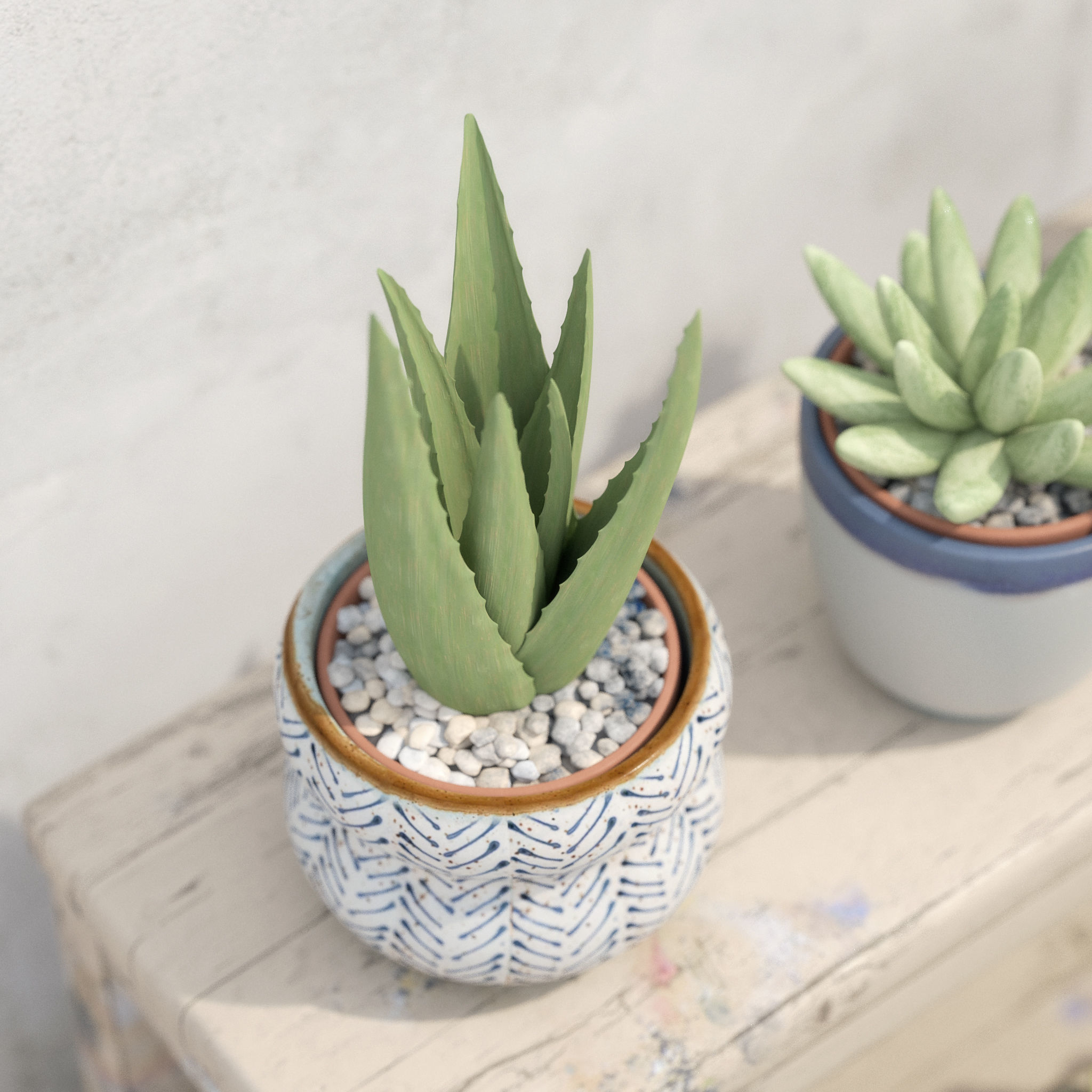 Collection Of Potted Cactus Plants 3D model_17