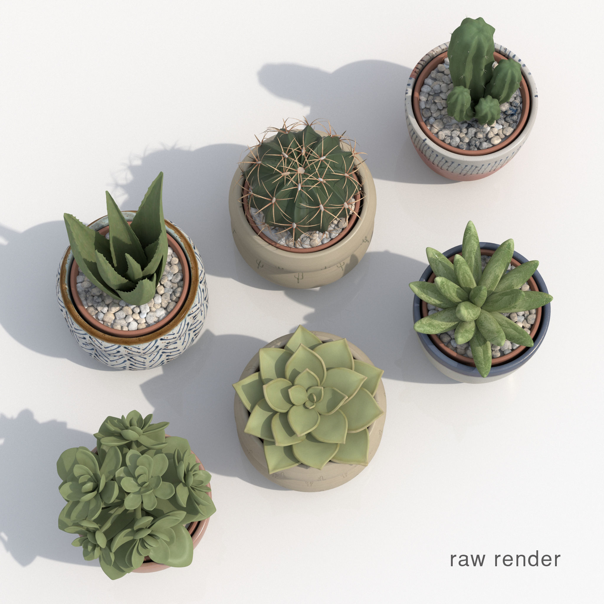 Collection Of Potted Cactus Plants 3D model_5