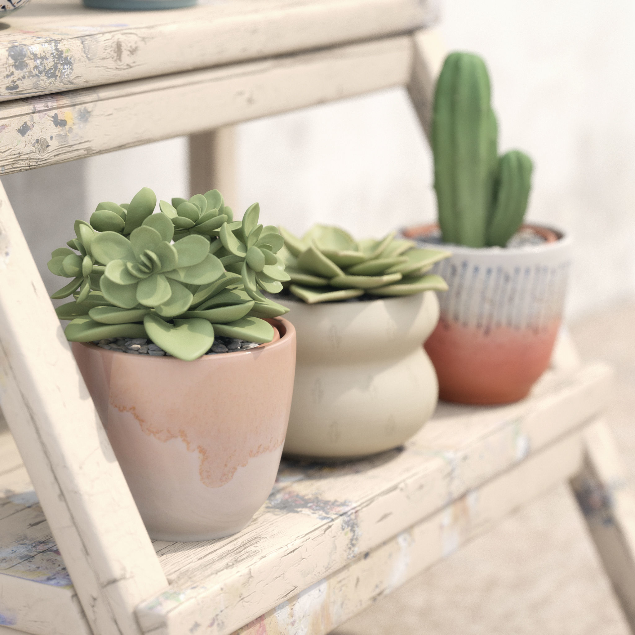 Collection Of Potted Cactus Plants 3D model_16
