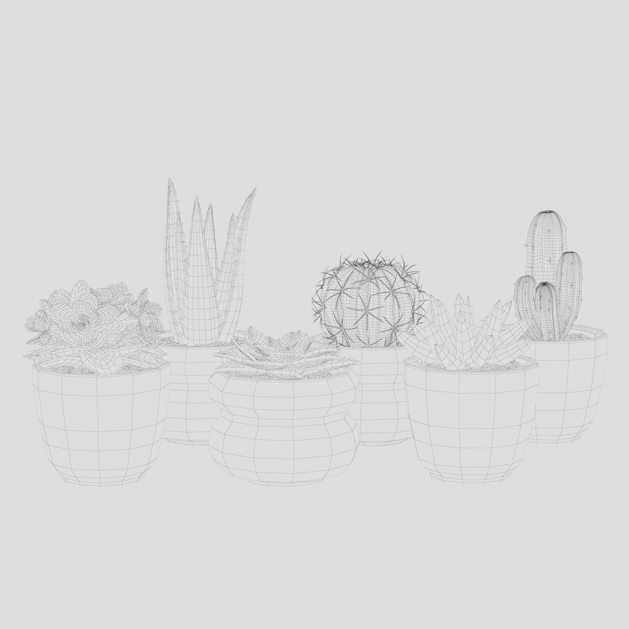 Collection Of Potted Cactus Plants 3D model_1