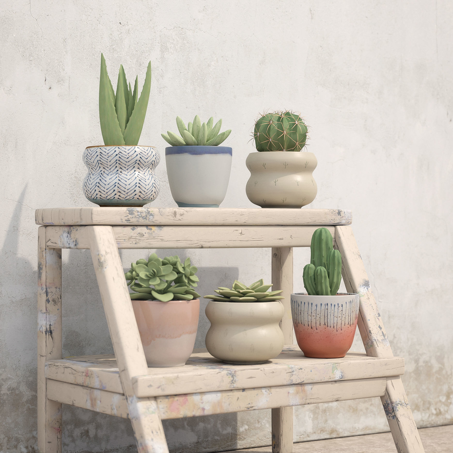 Collection Of Potted Cactus Plants 3D model_8