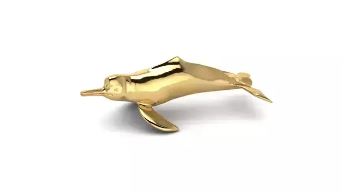 Boto cor de Rosa 3D print model
