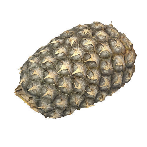 Cut Pineapple 3D model 5