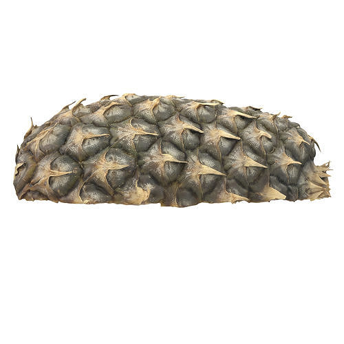 Cut Pineapple 3D model 6