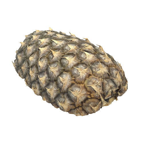 Cut Pineapple 3D model 3