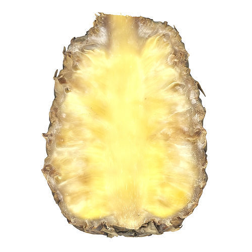 Cut Pineapple 3D model 4