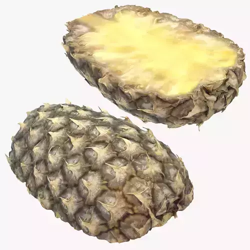 Cut Pineapple 3D model