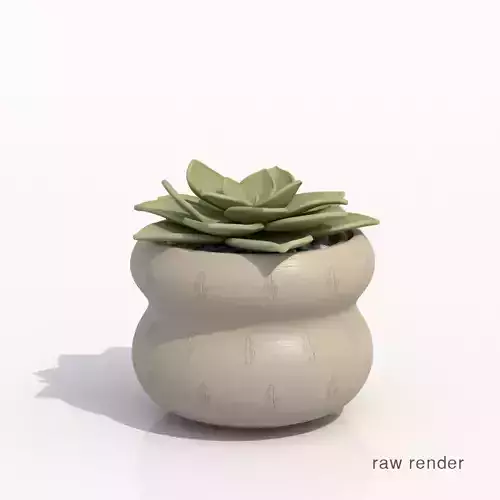 Echeveria Potted Cactus Plant