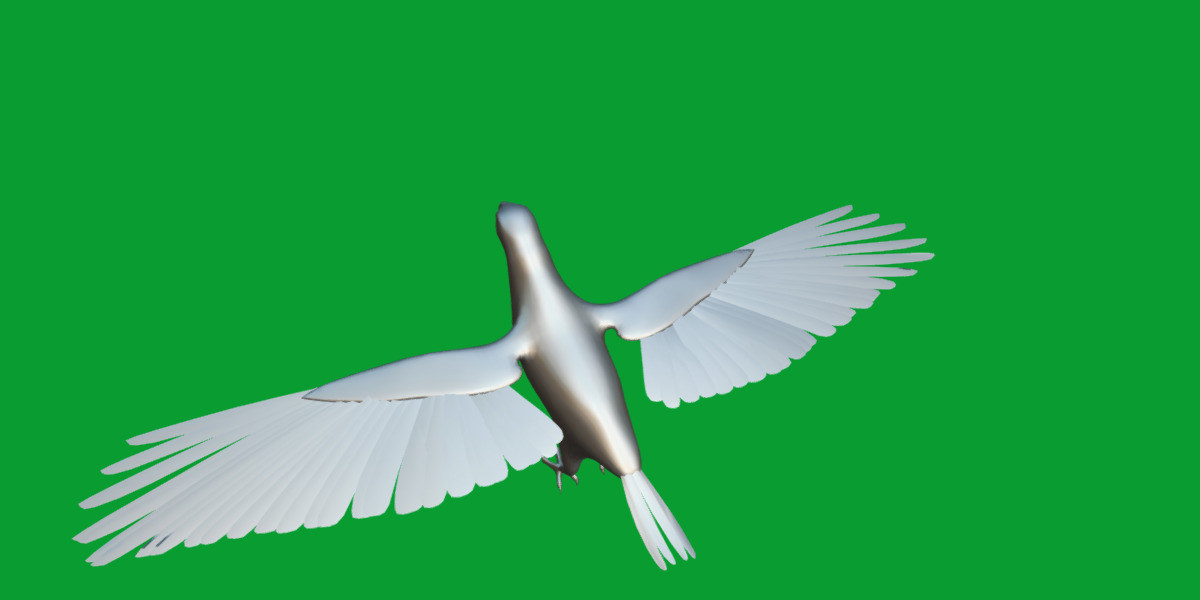 Pesquet Dracula Parrot Bird Low-poly 3D model_34