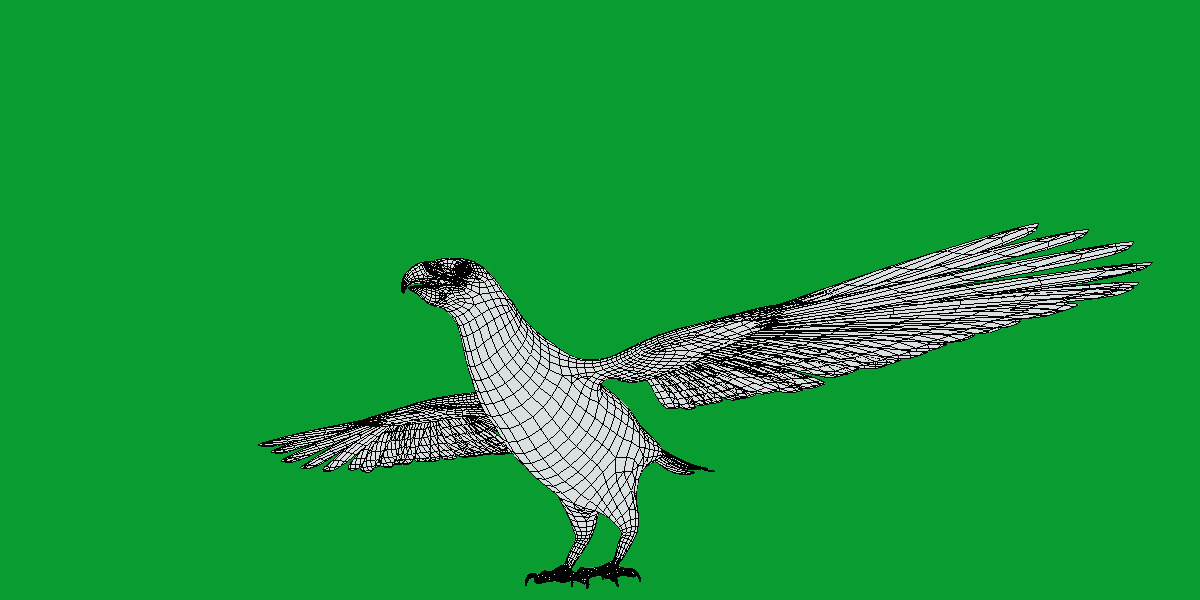 Pesquet Dracula Parrot Bird Low-poly 3D model_13