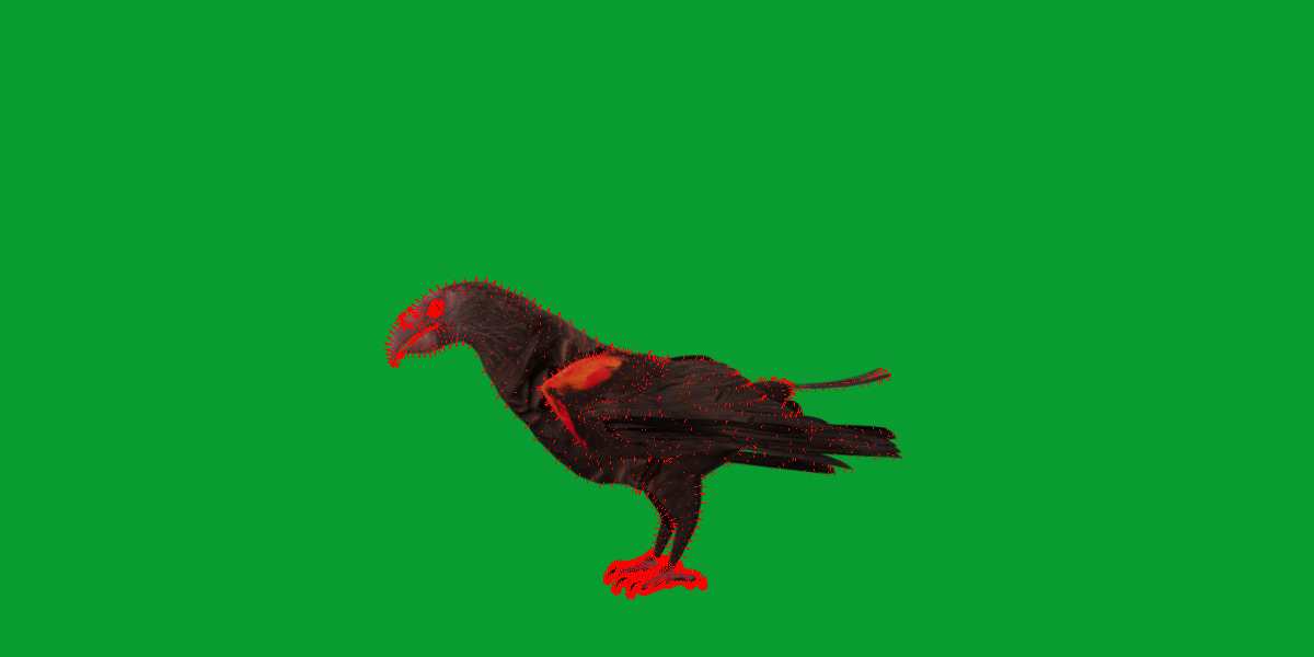 Pesquet Dracula Parrot Bird Low-poly 3D model_26