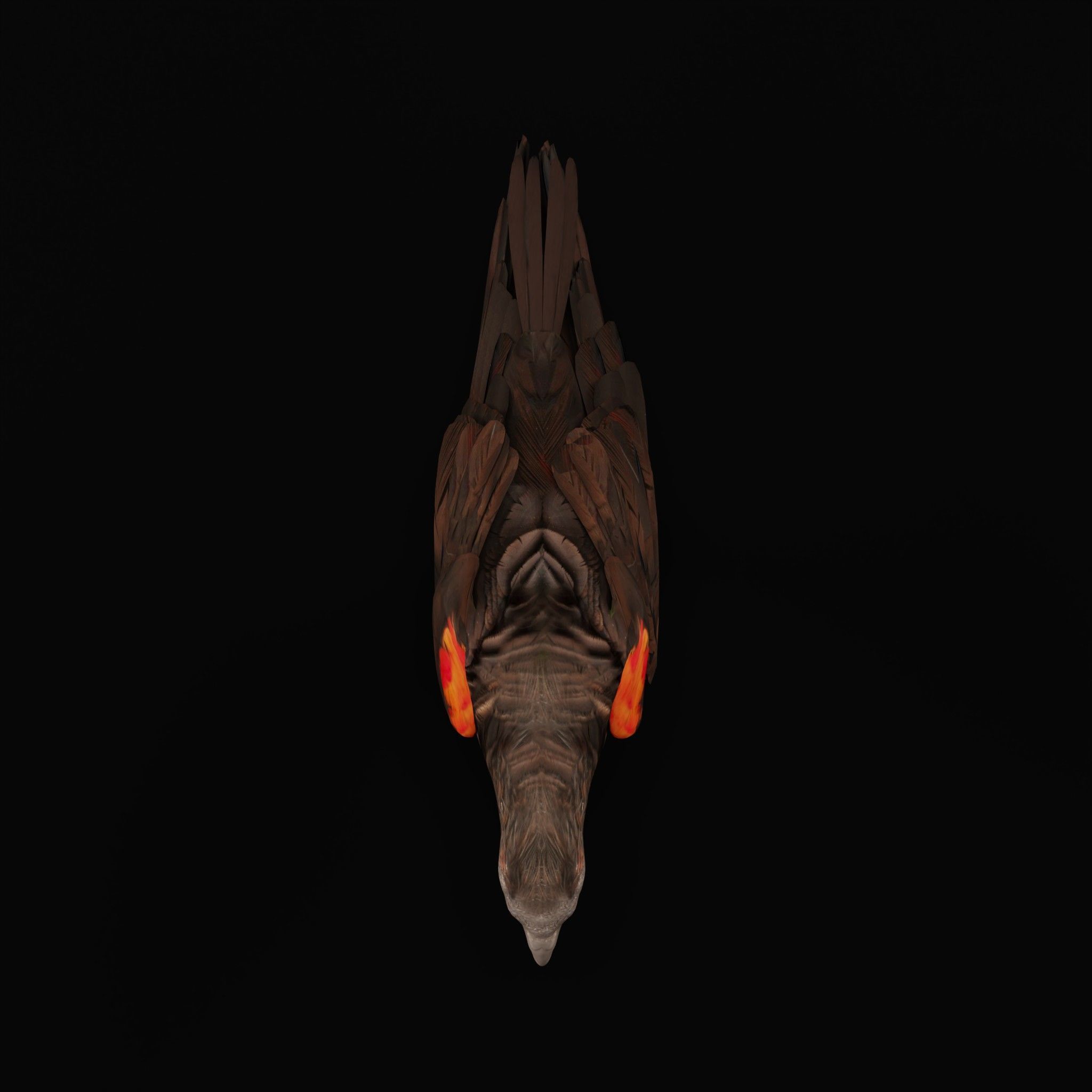 Pesquet Dracula Parrot Bird Low-poly 3D model_49