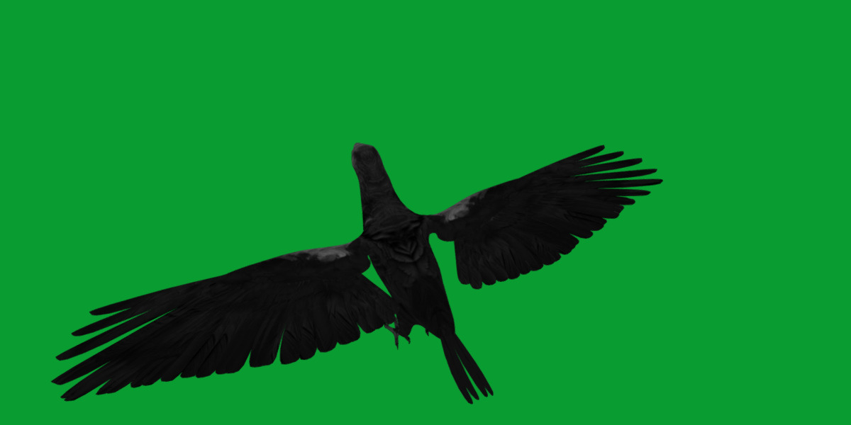 Pesquet Dracula Parrot Bird Low-poly 3D model_32