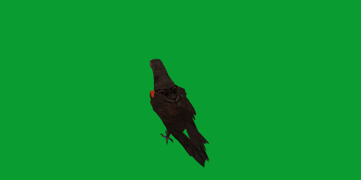 Pesquet Dracula Parrot Bird Low-poly 3D model_27