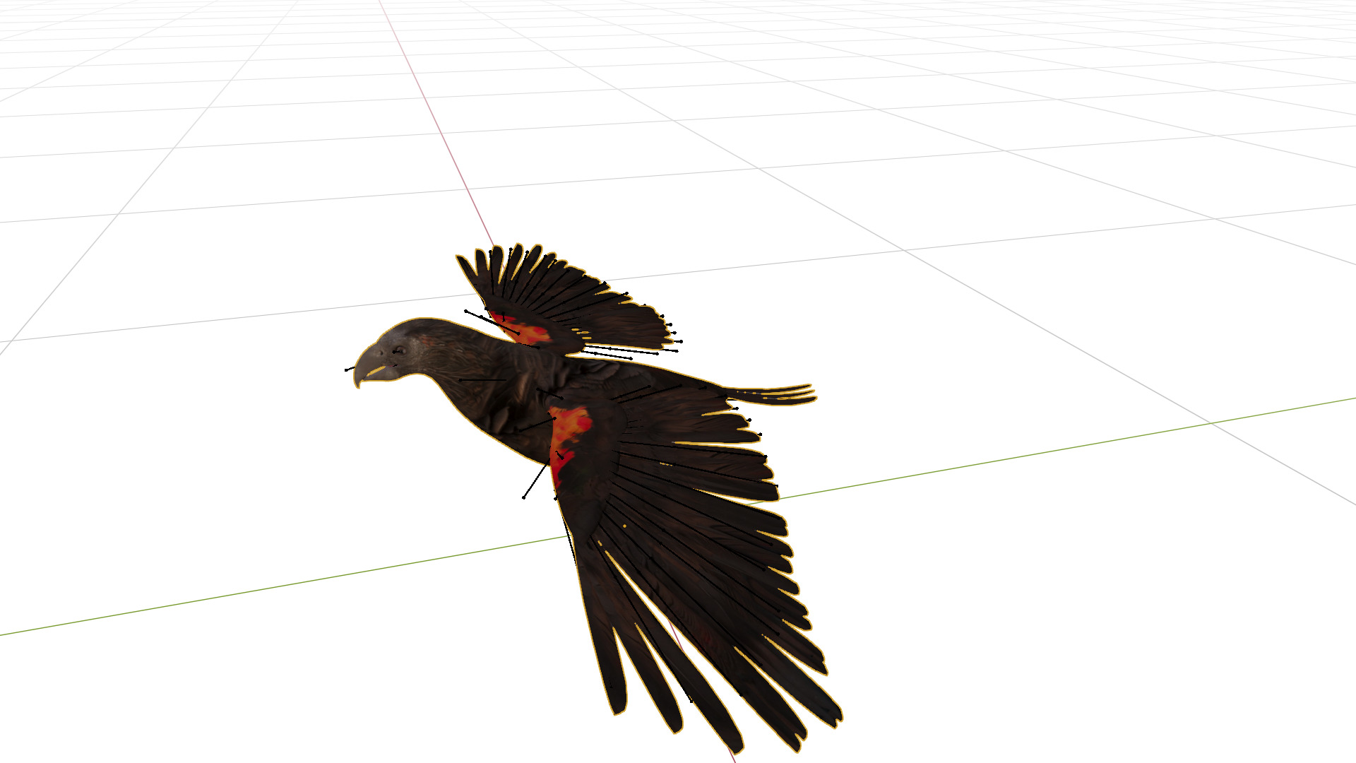 Pesquet Dracula Parrot Bird Low-poly 3D model_16