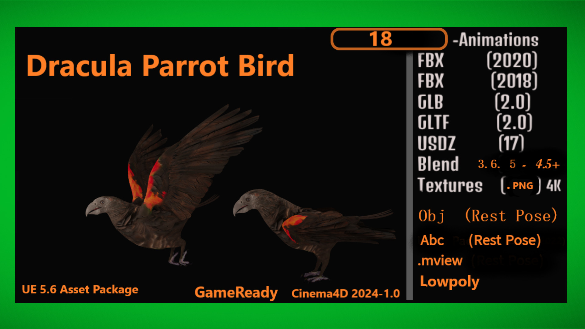 Pesquet Dracula Parrot Bird Low-poly 3D model_4